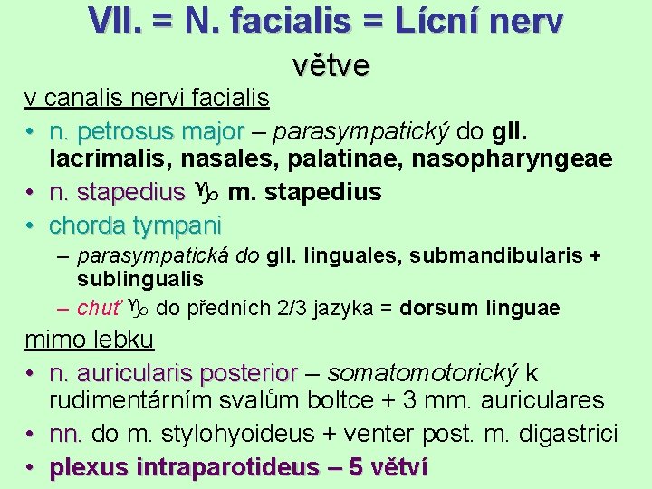 VII. = N. facialis = Lícní nerv větve v canalis nervi facialis • n.