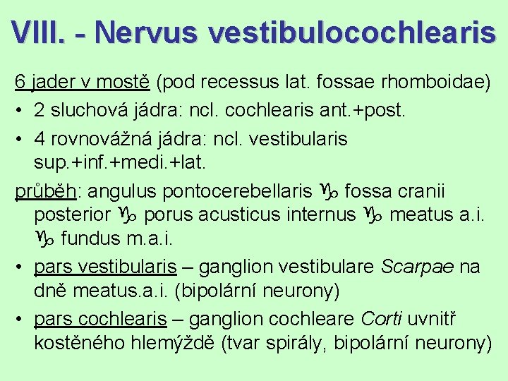 VIII. - Nervus vestibulocochlearis 6 jader v mostě (pod recessus lat. fossae rhomboidae) •