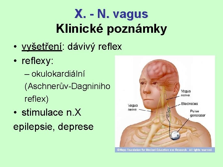 X. - N. vagus Klinické poznámky • vyšetření: dávivý reflex • reflexy: – okulokardiální