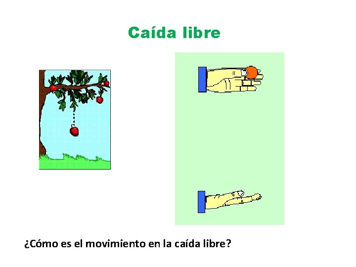 Caída libre ¿Cómo es el movimiento en la caída libre? 