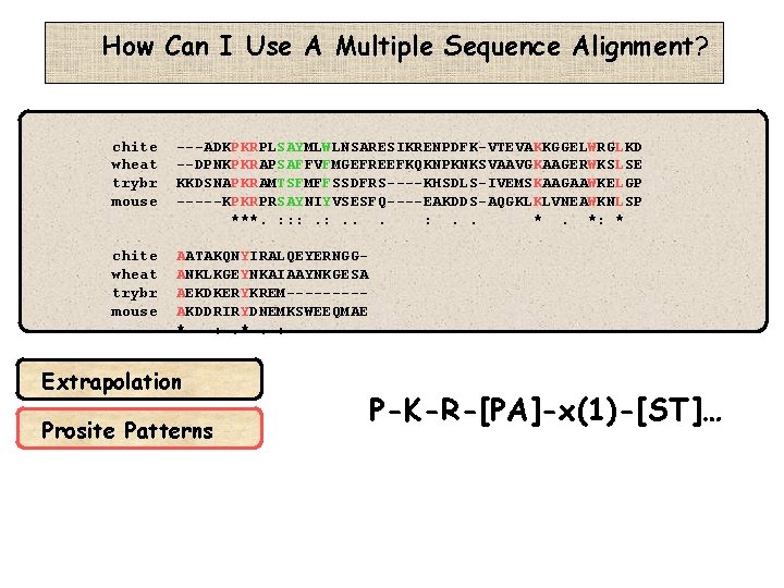 How Can I Use A Multiple Sequence Alignment? chite wheat trybr mouse ---ADKPKRPLSAYMLWLNSARESIKRENPDFK-VTEVAKKGGELWRGLKD --DPNKPKRAPSAFFVFMGEFREEFKQKNPKNKSVAAVGKAAGERWKSLSE