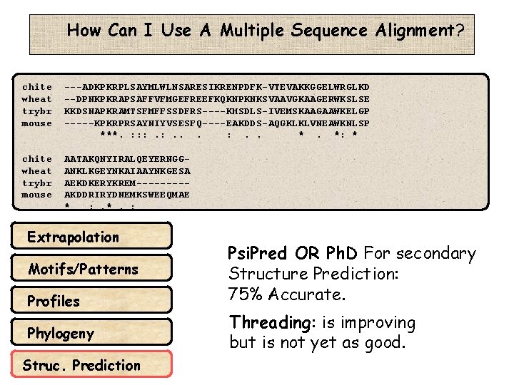 How Can I Use A Multiple Sequence Alignment? chite wheat trybr mouse ---ADKPKRPLSAYMLWLNSARESIKRENPDFK-VTEVAKKGGELWRGLKD --DPNKPKRAPSAFFVFMGEFREEFKQKNPKNKSVAAVGKAAGERWKSLSE