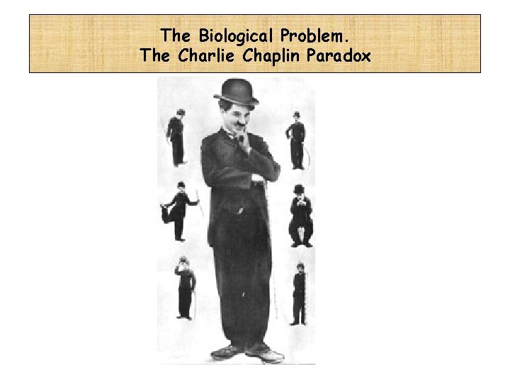 The Biological Problem. The Charlie Chaplin Paradox 
