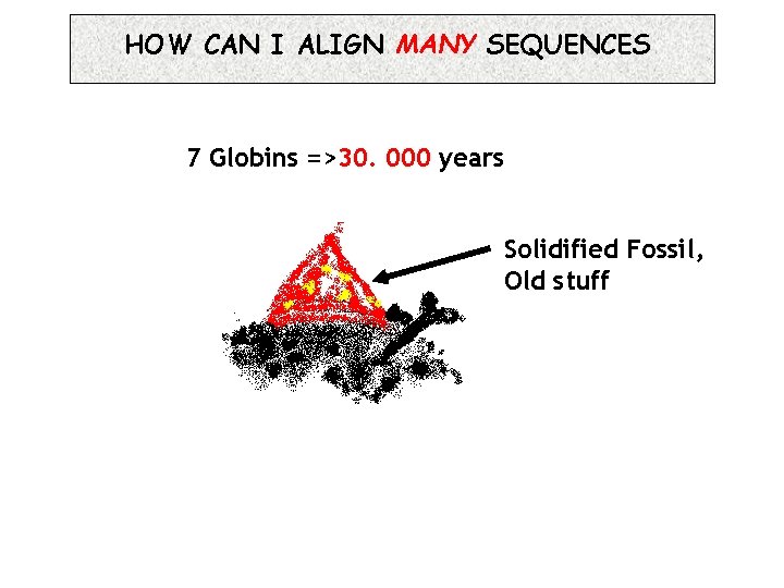 HOW CAN I ALIGN MANY SEQUENCES 7 Globins =>30. 000 years Solidified Fossil, Old