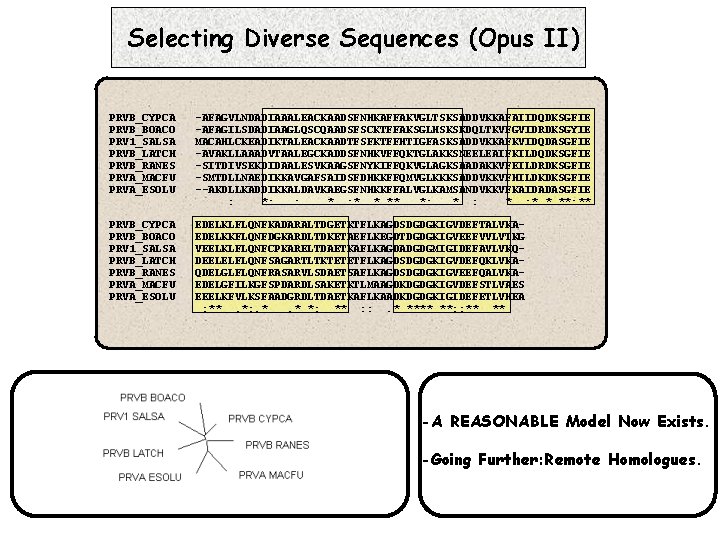 Selecting Diverse Sequences (Opus II) PRVB_CYPCA PRVB_BOACO PRV 1_SALSA PRVB_LATCH PRVB_RANES PRVA_MACFU PRVA_ESOLU -AFAGVLNDADIAAALEACKAADSFNHKAFFAKVGLTSKSADDVKKAFAIIDQDKSGFIE