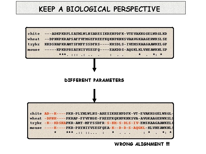 KEEP A BIOLOGICAL PERSPECTIVE chite wheat trybr mouse ---ADKPKRPLSAYMLWLNSARESIKRENPDFK-VTEVAKKGGELWRGLKD --DPNKPKRAPSAFFVFMGEFREEFKQKNPKNKSVAAVGKAAGERWKSLSE KKDSNAPKRAMTSFMFFSSDFRS----KHSDLS-IVEMSKAAGAAWKELGP -----KPKRPRSAYNIYVSESFQ----EAKDDS-AQGKLKLVNEAWKNLSP ***. :