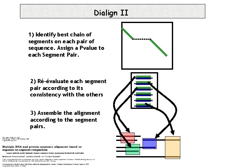 Dialign II 1) Identify best chain of segments on each pair of sequence. Assign