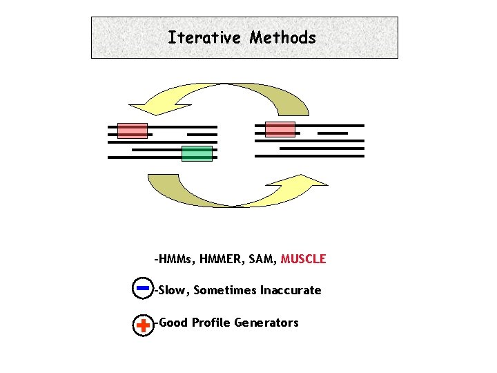 Iterative Methods 7. 16. 1 Progressive -HMMs, HMMER, SAM, MUSCLE -Slow, Sometimes Inaccurate -Good