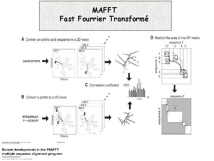 MAFFT Fast Fourrier Transformé 