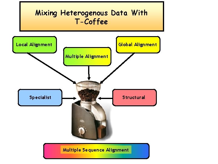 Mixing Heterogenous Data With T-Coffee Local Alignment Global Alignment Multiple Alignment Specialist Structural Multiple