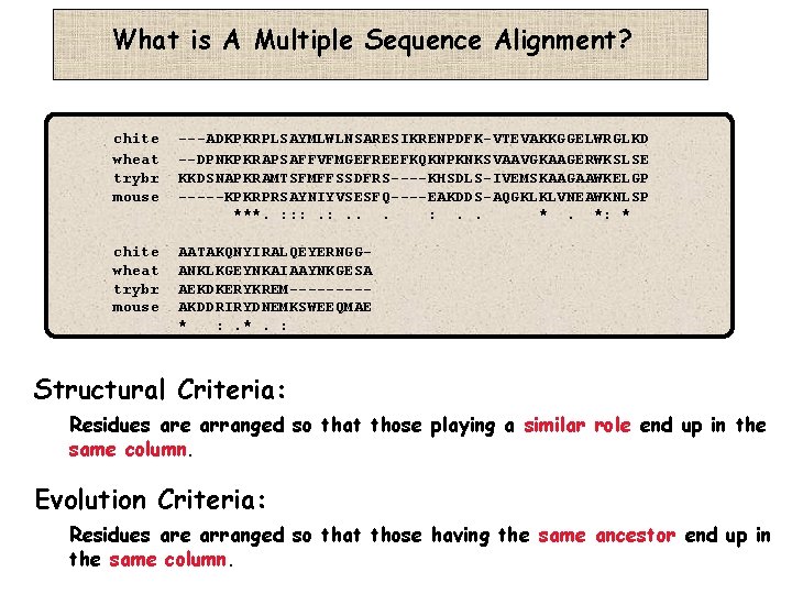 What is A Multiple Sequence Alignment? chite wheat trybr mouse ---ADKPKRPLSAYMLWLNSARESIKRENPDFK-VTEVAKKGGELWRGLKD --DPNKPKRAPSAFFVFMGEFREEFKQKNPKNKSVAAVGKAAGERWKSLSE KKDSNAPKRAMTSFMFFSSDFRS----KHSDLS-IVEMSKAAGAAWKELGP -----KPKRPRSAYNIYVSESFQ----EAKDDS-AQGKLKLVNEAWKNLSP