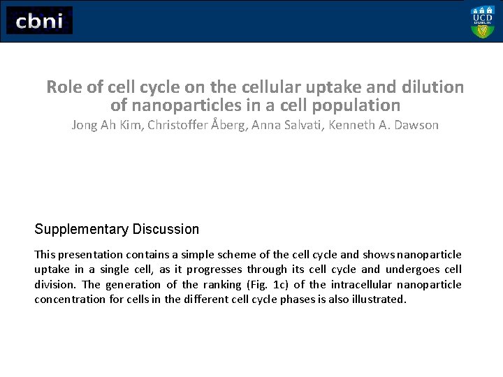 Role of cell cycle on the cellular uptake and dilution of nanoparticles in a
