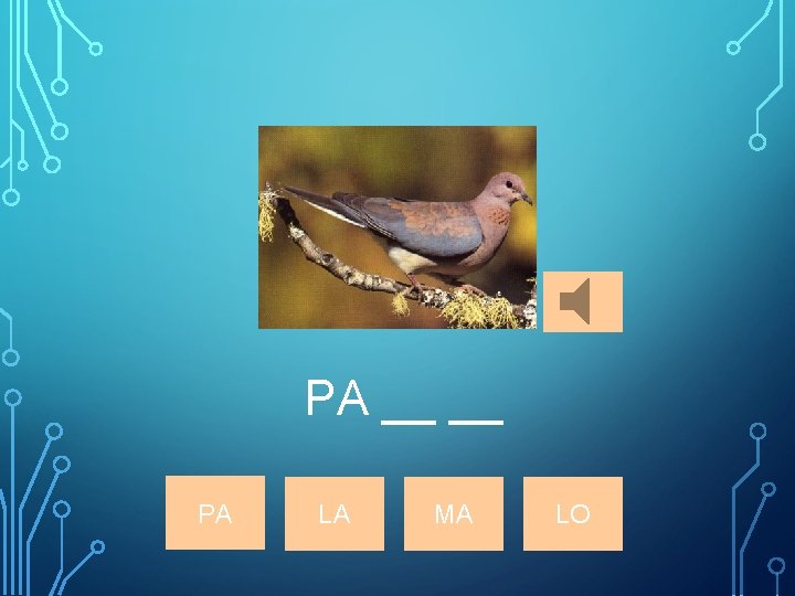 PA __ __ PA LA MA LO 