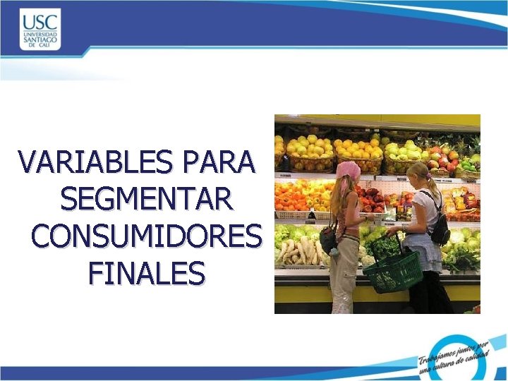 VARIABLES PARA SEGMENTAR CONSUMIDORES FINALES 