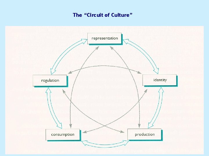 The “Circuit of Culture” 