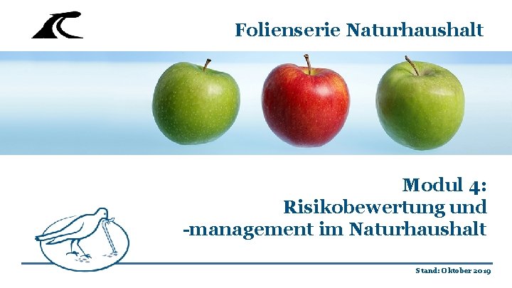 Folienserie Naturhaushalt Modul 4: Risikobewertung und -management im Naturhaushalt Stand: Oktober 2019 