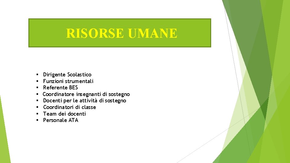 RISORSE UMANE § § § § Dirigente Scolastico Funzioni strumentali Referente BES Coordinatore insegnanti