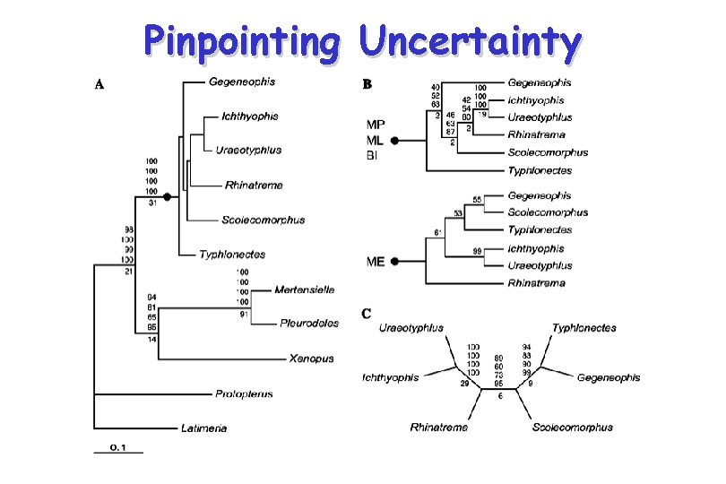 Pinpointing Uncertainty 