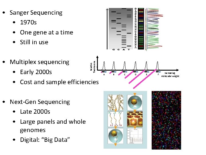  • Sanger Sequencing • 1970 s • One gene at a time •