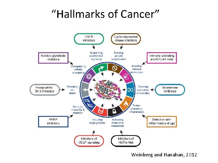 “Hallmarks of Cancer” Weinberg and Hanahan, 2012 