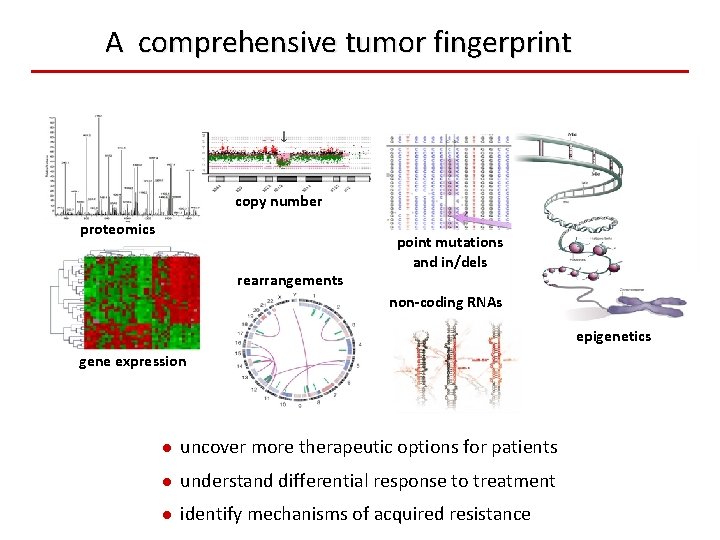 A comprehensive tumor fingerprint copy number proteomics rearrangements point mutations and in/dels non-coding RNAs