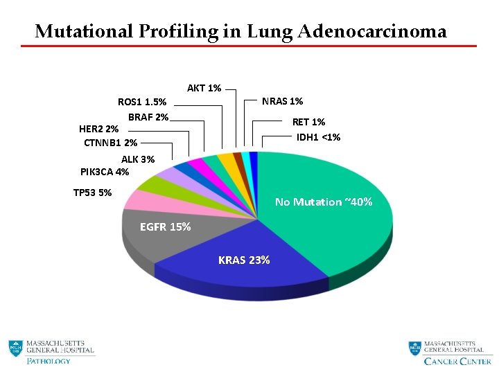 Mutational Profiling in Lung Adenocarcinoma AKT 1% ROS 1 1. 5% BRAF 2% HER