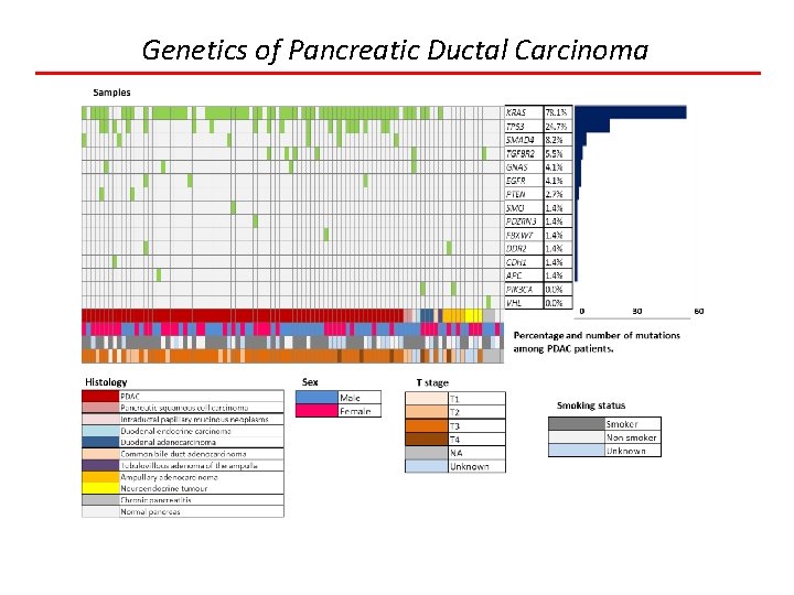 Genetics of Pancreatic Ductal Carcinoma 