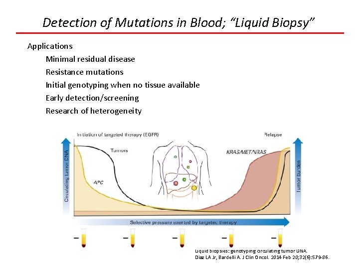 Detection of Mutations in Blood; “Liquid Biopsy” Applications Minimal residual disease Resistance mutations Initial