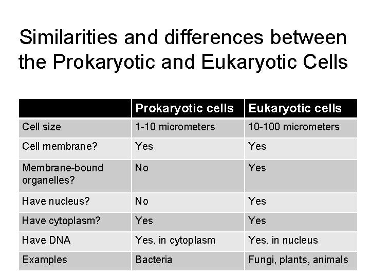 Similarities and differences between the Prokaryotic and Eukaryotic Cells Prokaryotic cells Eukaryotic cells Cell