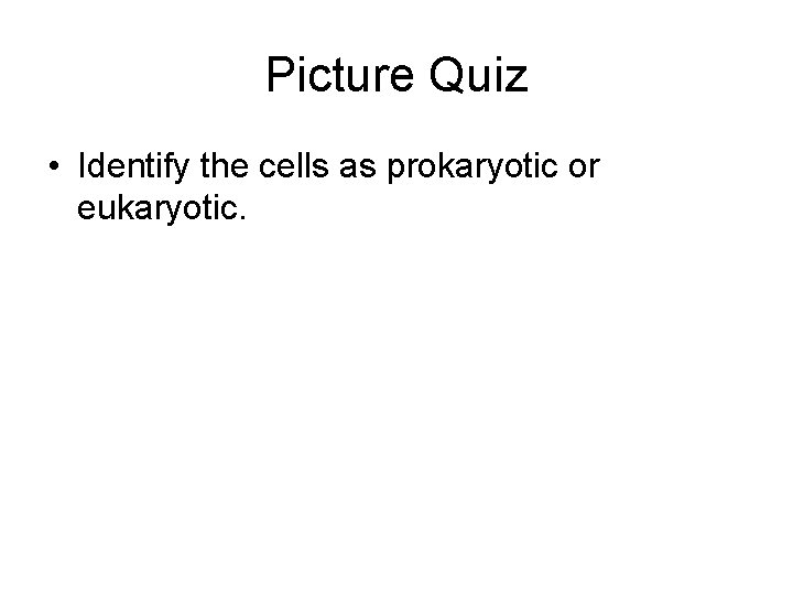 Picture Quiz • Identify the cells as prokaryotic or eukaryotic. 