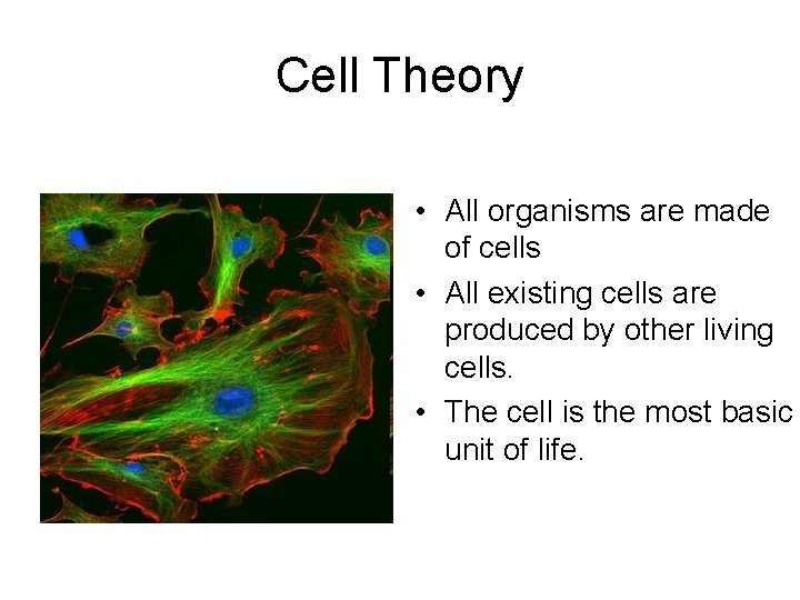 Cell Theory • All organisms are made of cells • All existing cells are