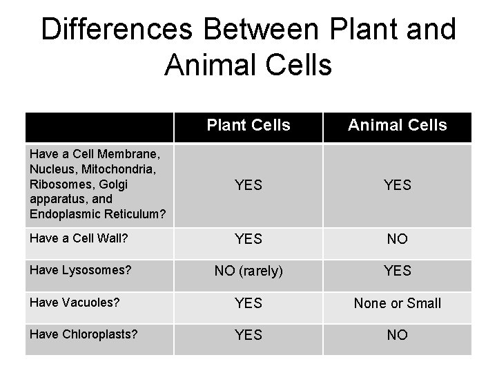 Differences Between Plant and Animal Cells Plant Cells Animal Cells Have a Cell Membrane,