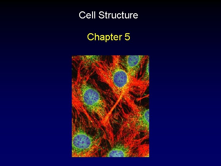 Cell Structure Chapter 5 