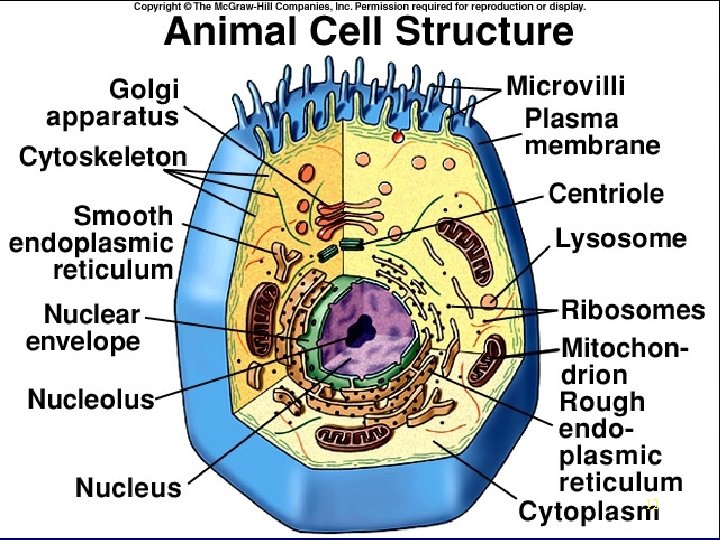 12 12 