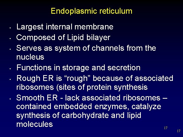 Endoplasmic reticulum • • • Largest internal membrane Composed of Lipid bilayer Serves as