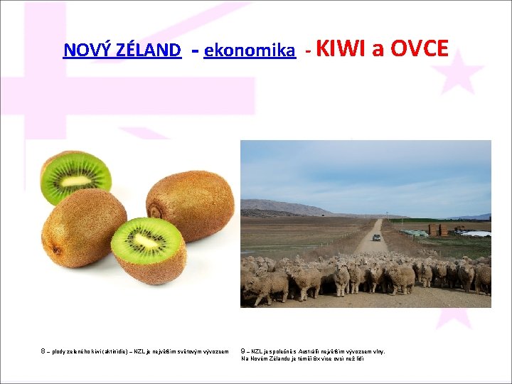 NOVÝ ZÉLAND - ekonomika - KIWI a OVCE 8 – plody zeleného kiwi (aktinídie)