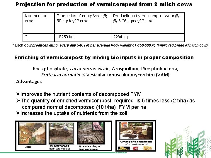 Projection for production of vermicompost from 2 milch cows Numbers of cows Production of