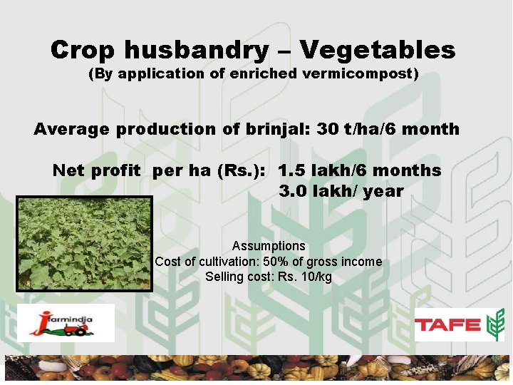 Crop husbandry – Vegetables (By application of enriched vermicompost) Average production of brinjal: 30