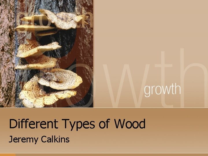 Different Types of Wood Jeremy Calkins 
