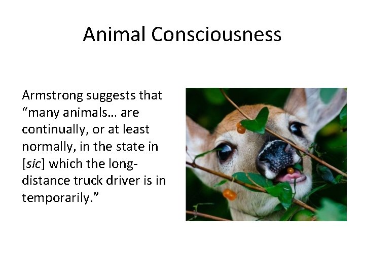 Animal Consciousness Armstrong suggests that “many animals… are continually, or at least normally, in