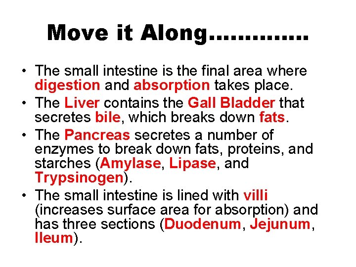 Move it Along…………. . • The small intestine is the final area where digestion Move it Along…………. . • The small intestine is the final area where digestion