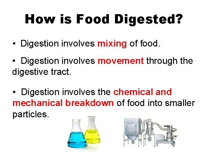 How is Food Digested? • Digestion involves mixing of food. • Digestion involves movement How is Food Digested? • Digestion involves mixing of food. • Digestion involves movement