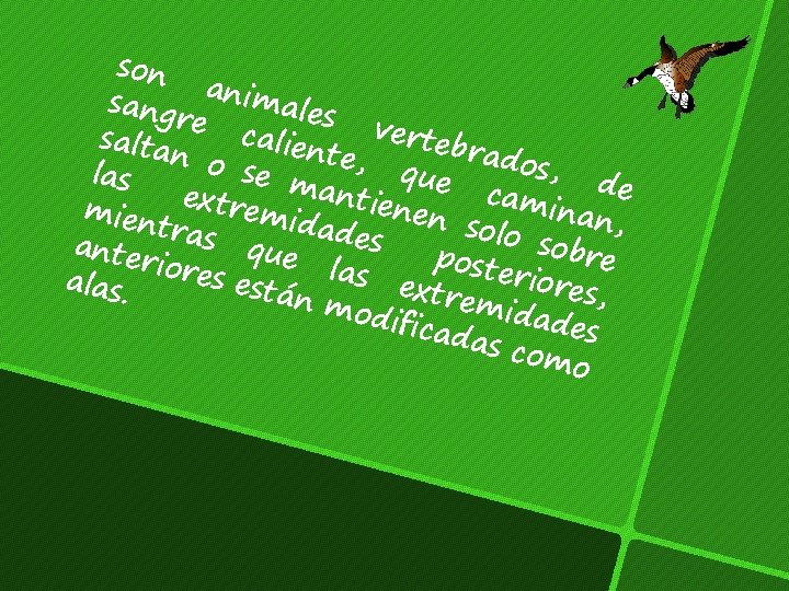 son sang animales re verte calie salta brad nte, n o os, se m