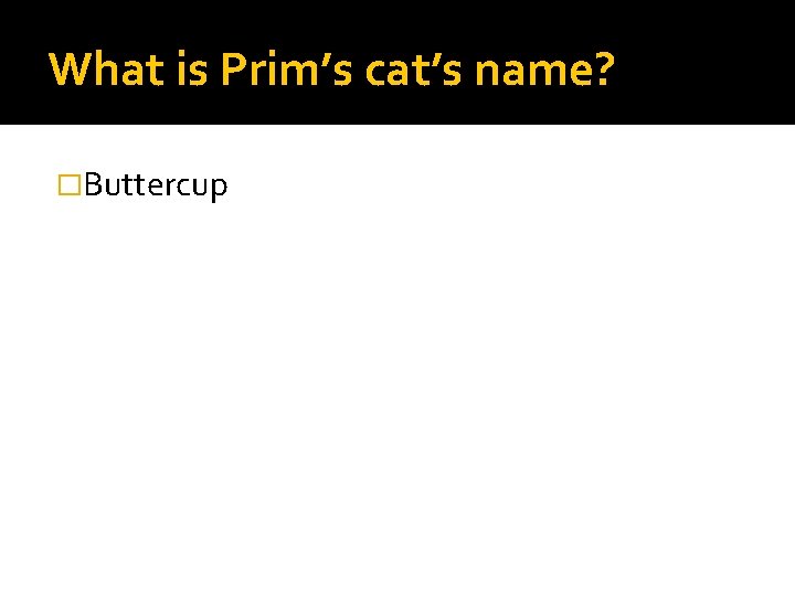 What is Prim’s cat’s name? �Buttercup 