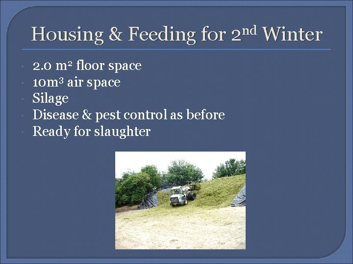 Housing & Feeding for 2 nd Winter 2. 0 m 2 floor space 10