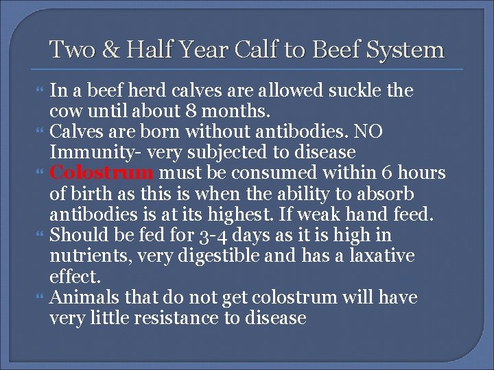 Two & Half Year Calf to Beef System In a beef herd calves are