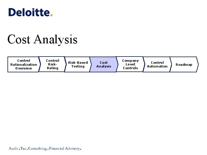 Cost Analysis Control Rationalization Overview Control Risk. Rating Risk-Based Testing Cost Analysis Company Level