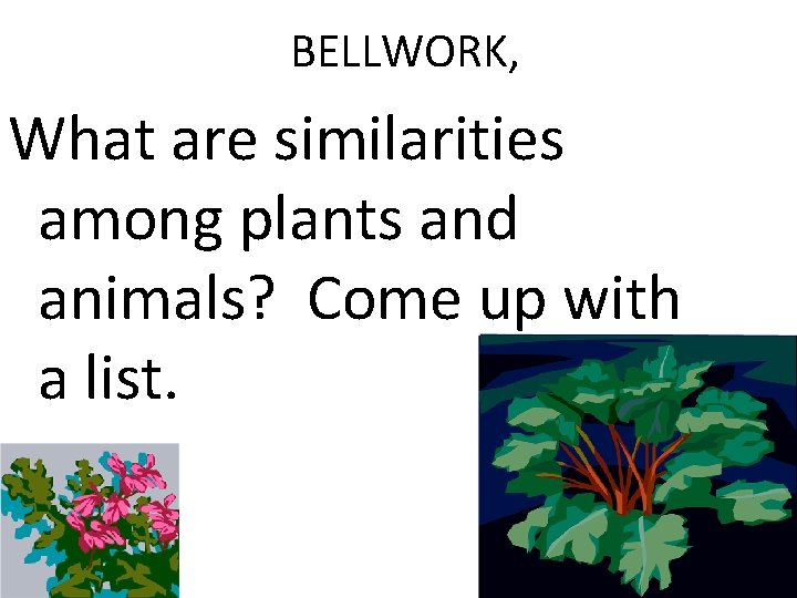 BELLWORK, What are similarities among plants and animals? Come up with a list. 