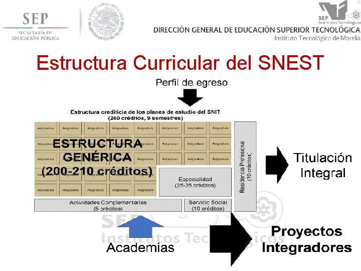 Estructura Curricular del SNEST 