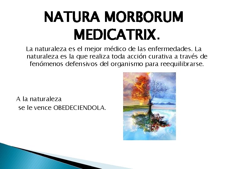 NATURA MORBORUM MEDICATRIX. La naturaleza es el mejor médico de las enfermedades. La naturaleza NATURA MORBORUM MEDICATRIX. La naturaleza es el mejor médico de las enfermedades. La naturaleza